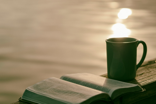 Tea and Books: Perfect Pairings for Cozy Reading Sessions