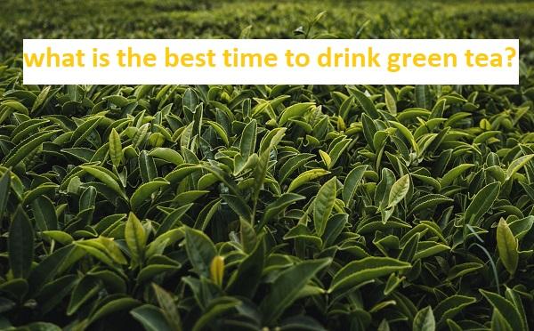 What Is The Best Time To Drink The Healthy Green Tea? – T-Swing