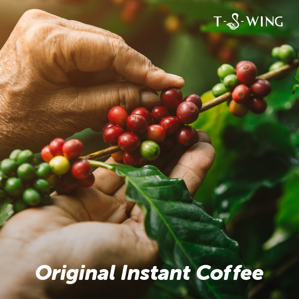 T-S-WING Premium Instant Coffee Blend - 100% Original | Agglomerated Coffee | 50Gm | Unmatched Smooth Aroma for Hot and Cold Brews | Make Café Style Hot or Cold Coffee, Cappuccino, Espresso, Latte at Home