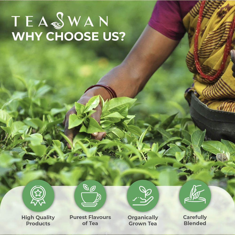 Chamomile Flower Tea