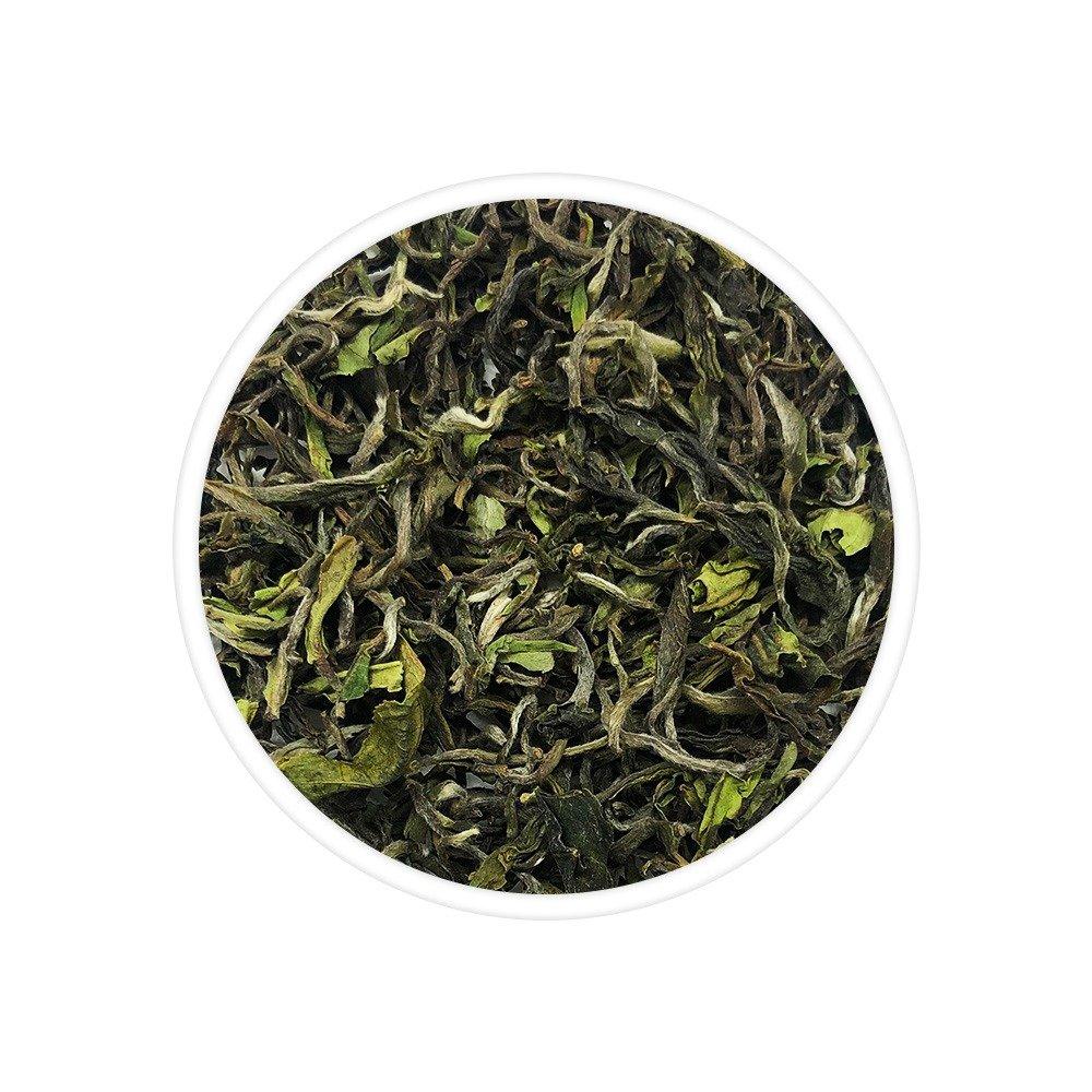 Giddapahar Spring Wonder Black Tea - TeaSwan