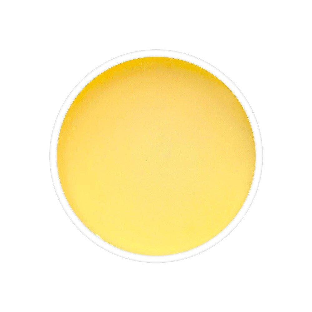 Kashmiri Chai - TeaSwan