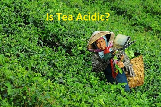 is tea acidic