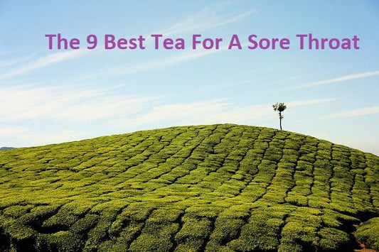The 9 Best Tea For A Sore Throat 