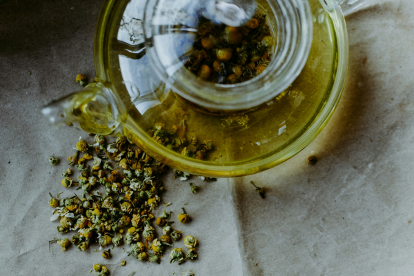 Top 10 Teas for Boosting Your Immune System