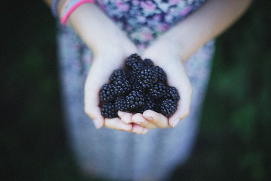 Blackberry Tea: Nutrition Health Benefits & Easy Recipe