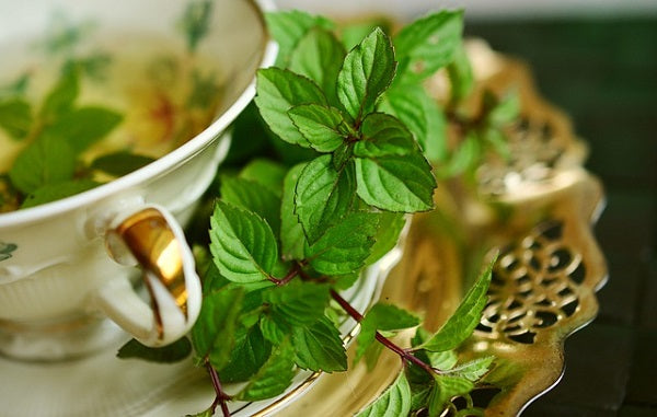 Refreshing Mint Tea: Let's Know More About It!