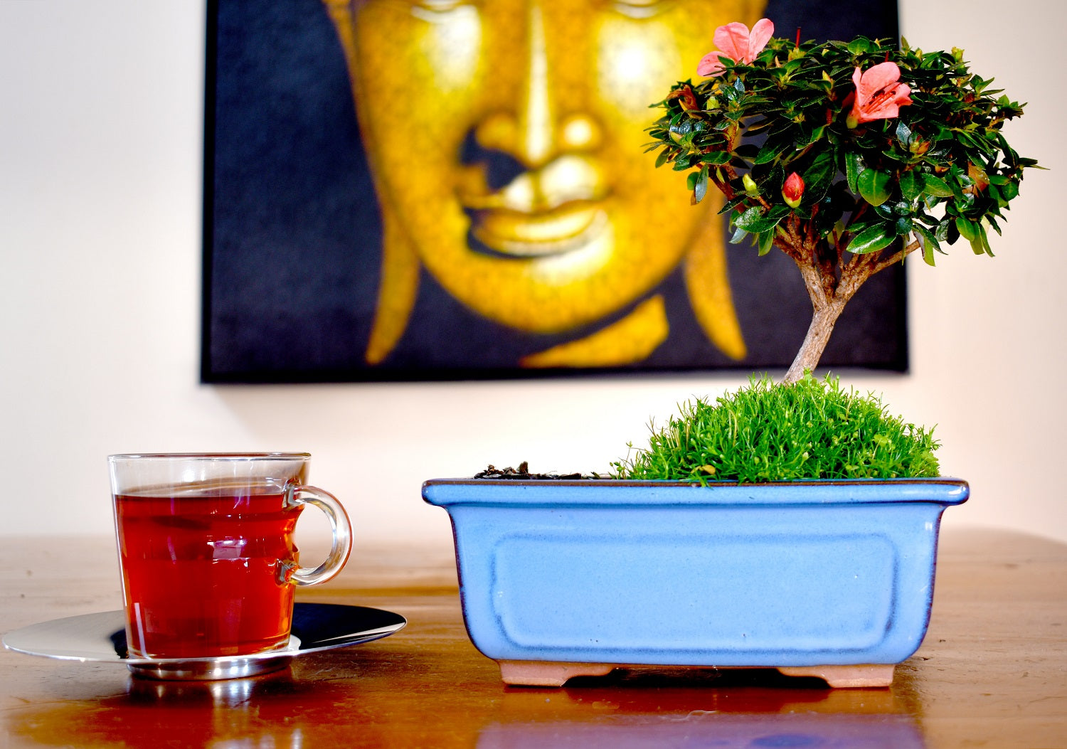 Rosehip tea- benefits, recipe and everything you must know! β T-Swing