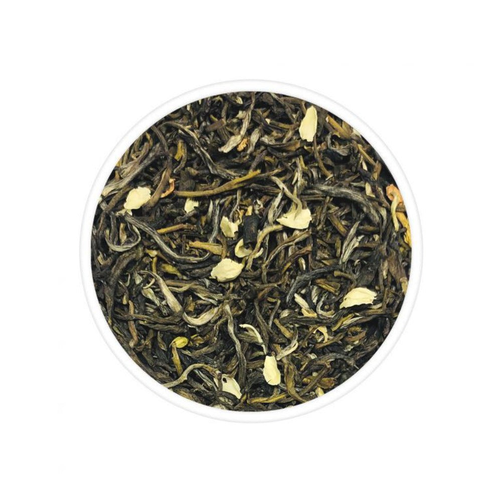 Jasmine Green Tea - TeaSwan