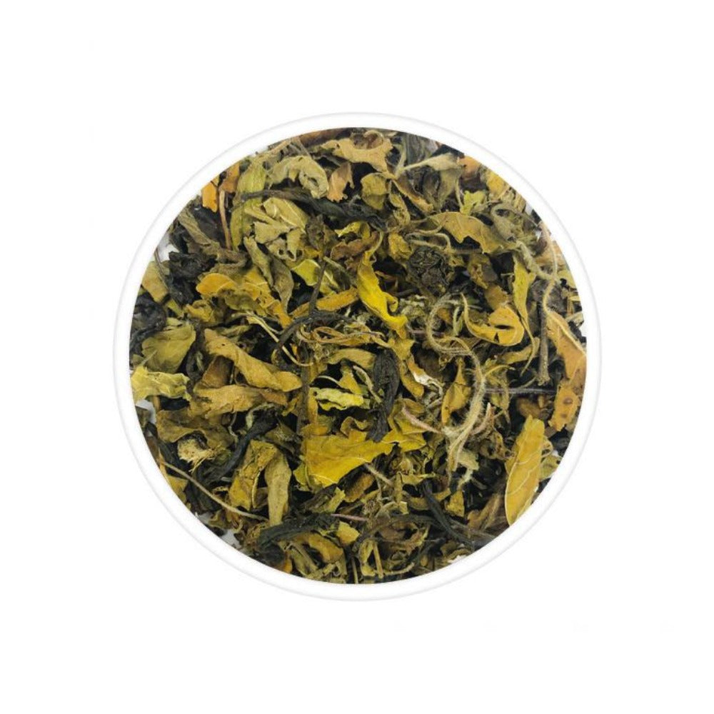 Tulsi Green Tea - TeaSwan
