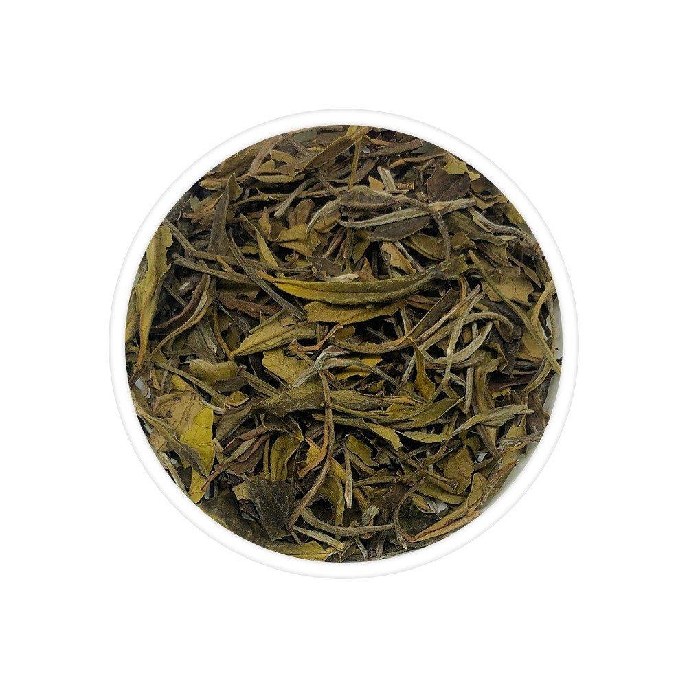Giddapahar White Tea - TeaSwan